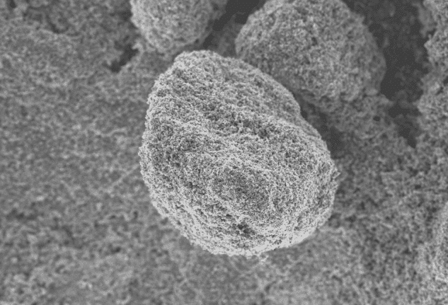 SEM image showing the primary particles of Carbon Black